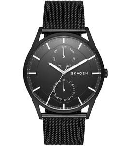 ساعت مچی مردانه اسکاگن(Skagen) اصل| مدل SKW6318