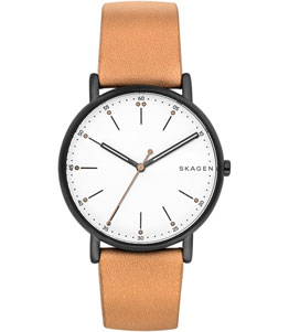 ساعت مچی مردانه اسکاگن(Skagen) اصل| مدل SKW6352