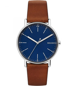 ساعت مچی مردانه اسکاگن(Skagen) اصل| مدل SKW6355